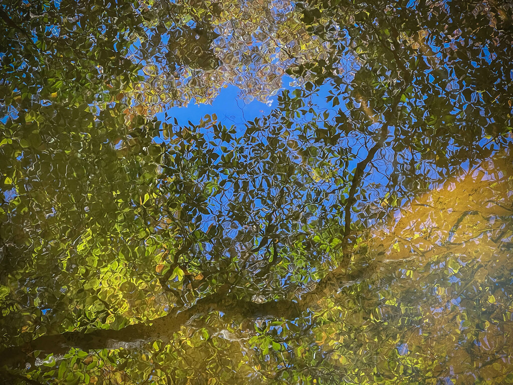 Pinnacle Lake Reflections by k9photo