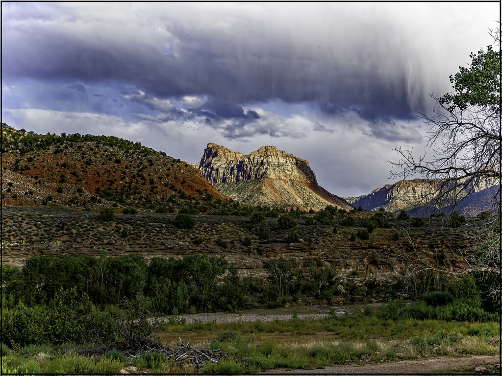 Zion National Park by bluemoon