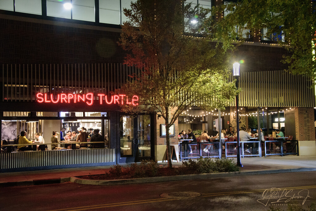 Evening at the Slurping Turtle by ggshearron