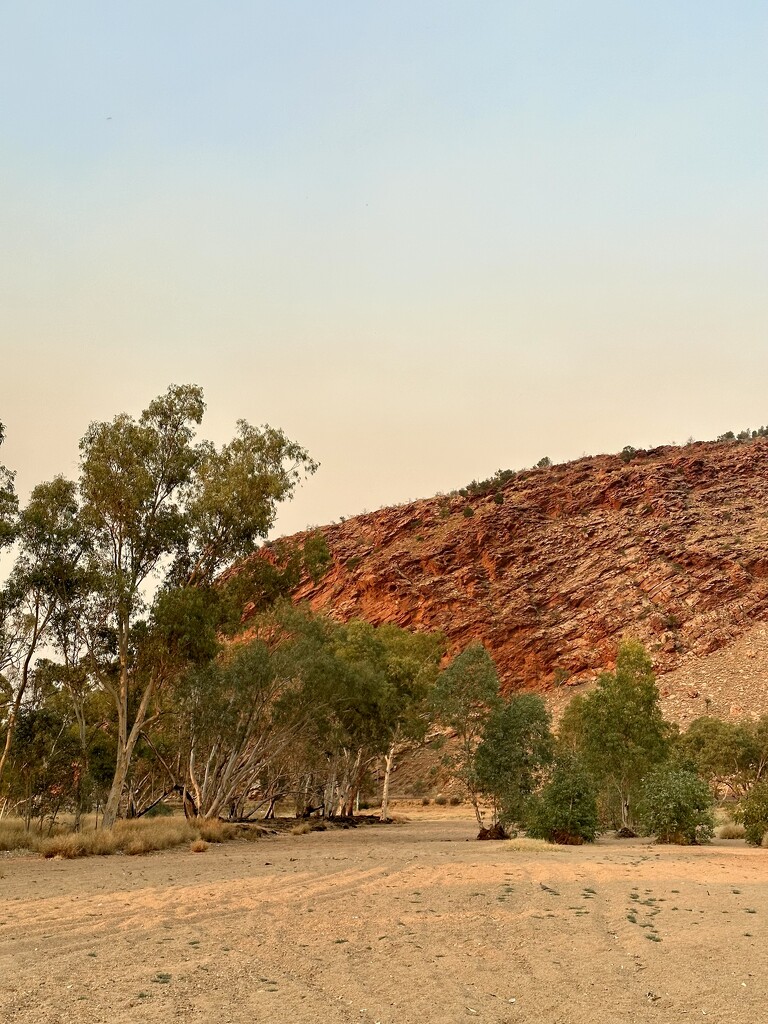 Alice Springs by nicolecampbell