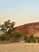 6th Nov 2023 - Alice Springs