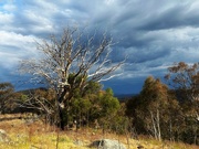 10th Nov 2023 - Love a stormy sky!