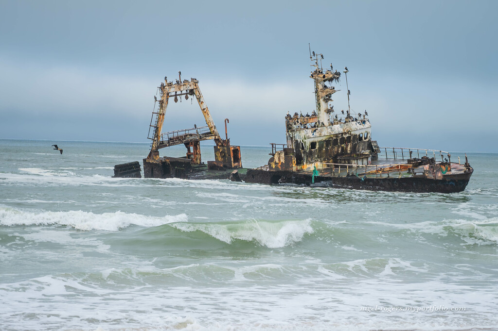 Shipwrecked on the Skeleton Coast by nigelrogers