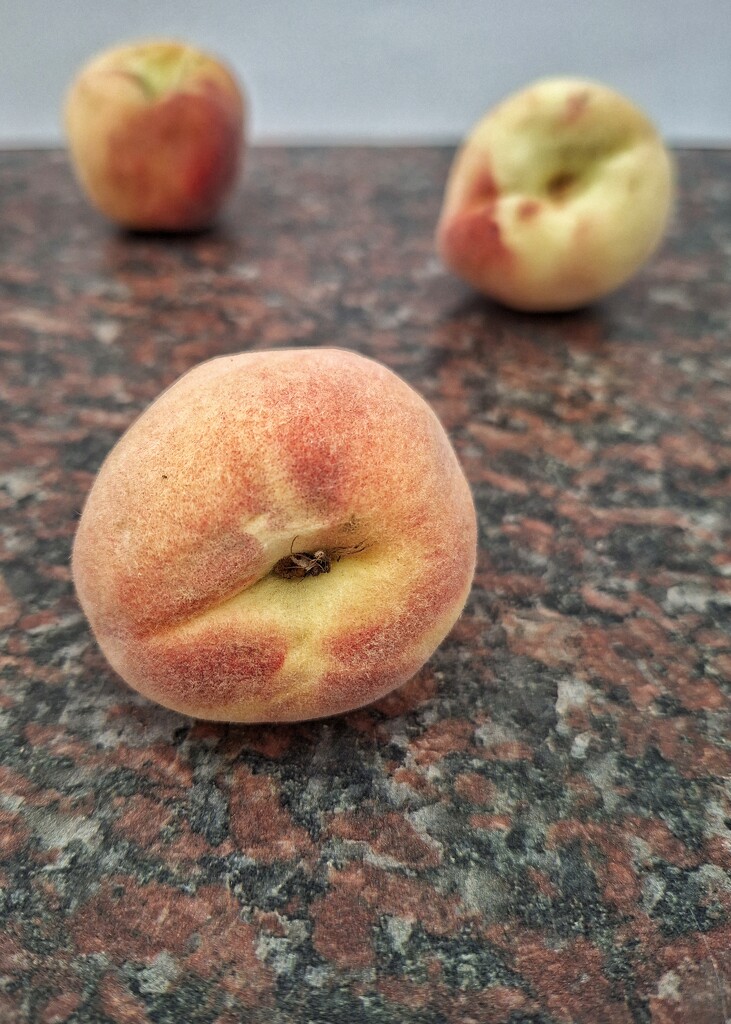 Just Peachy by salza