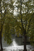 6th Nov 2023 - autumn in Paris 