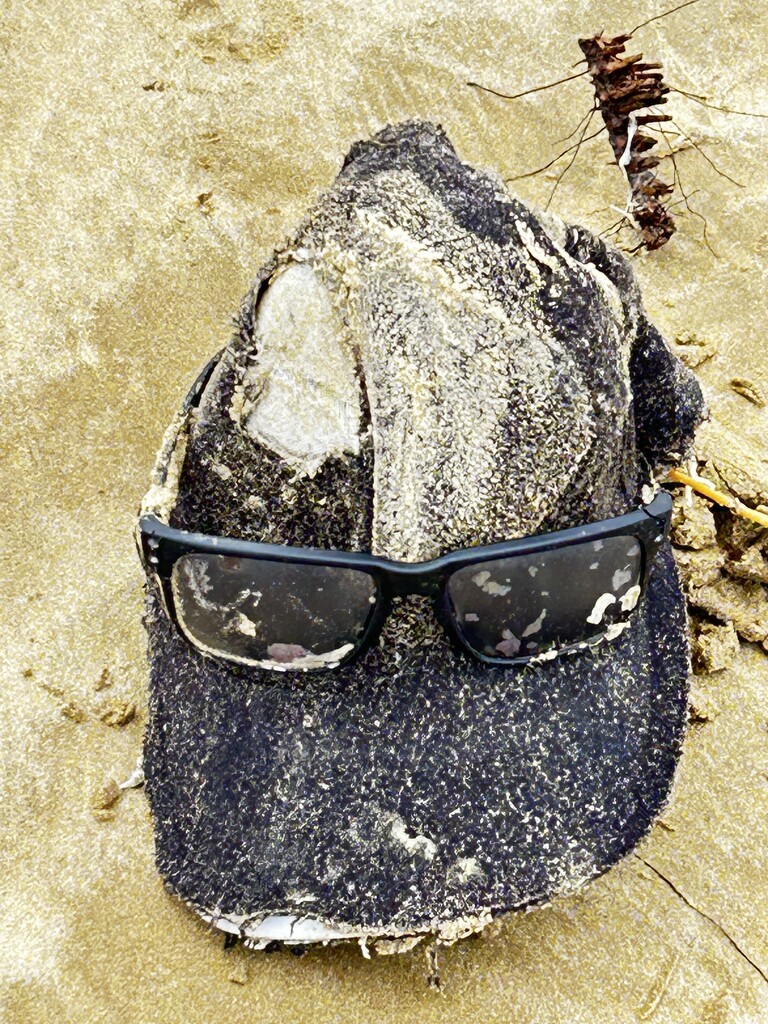 Another beach find , someone’s sense of humour  by Dawn