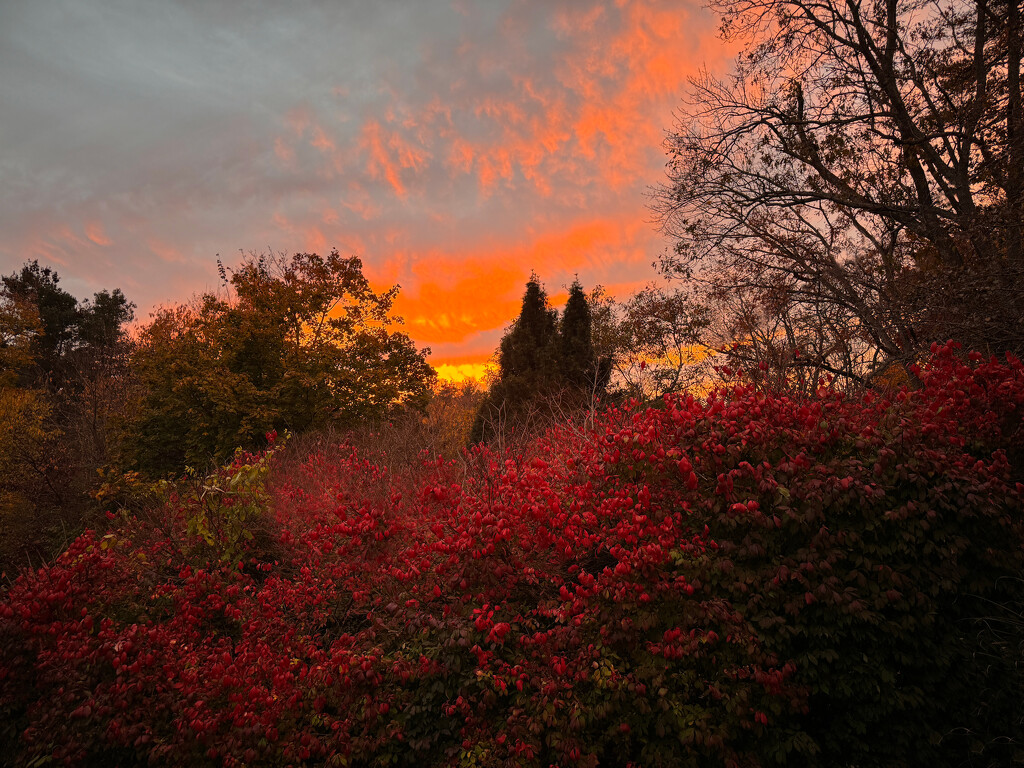 Autumn Sunset by berelaxed