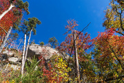 5th Nov 2023 - Table Rock Trail