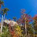 Table Rock Trail by kvphoto