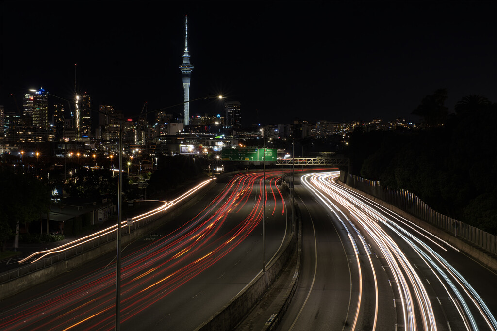 Auckland City by dkbarnett