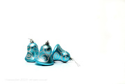 10th Nov 2023 - them blue bells