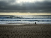 11th Nov 2023 - Morning at the beach: Manly