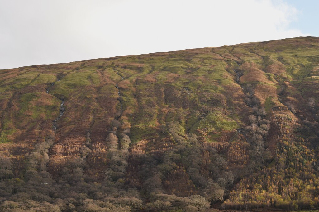 hillside by christophercox