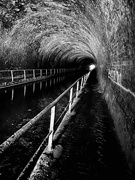 9th Nov 2023 - Tunnel
