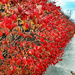Red hedge by larrysphotos