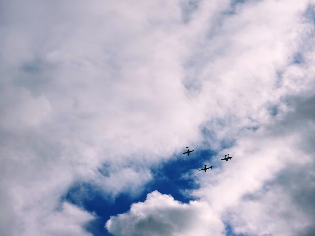 Warbirds by ljmanning