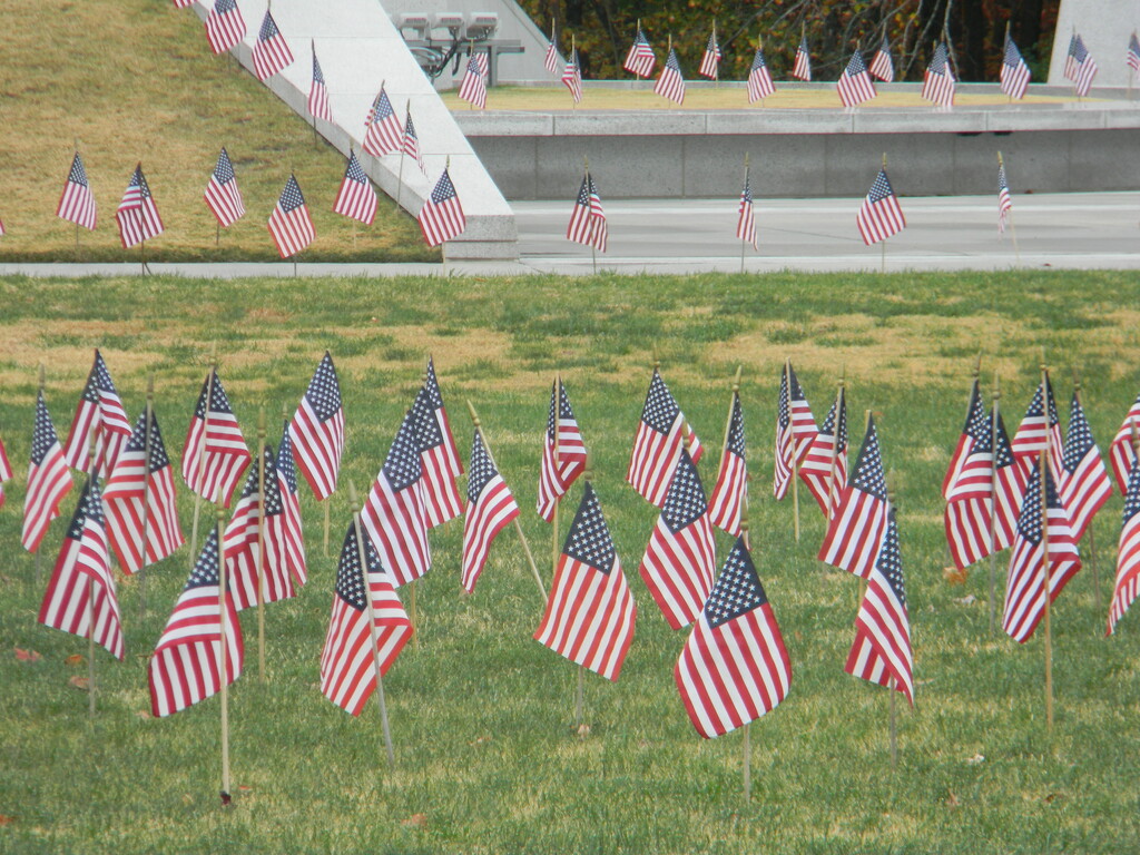 Flags at Veterans Memorial Park  by sfeldphotos
