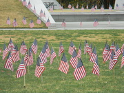 11th Nov 2023 - Flags at Veterans Memorial Park 