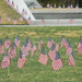 Flags at Veterans Memorial Park  by sfeldphotos