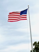 11th Nov 2023 - Veterans Day Salute