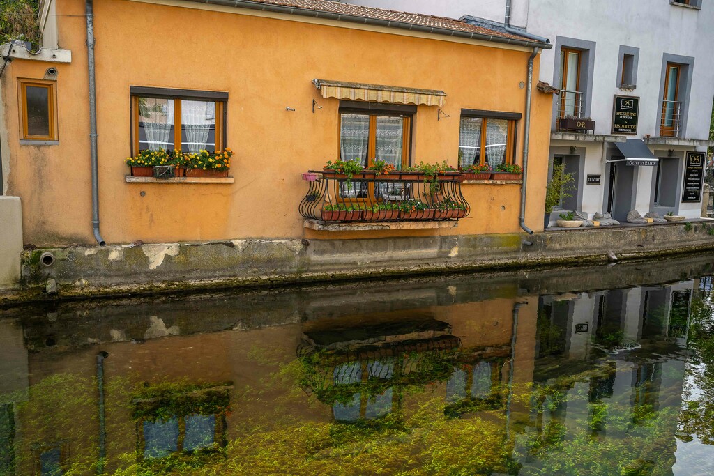 Reflections on L'Isle sur la Sorgue by pusspup