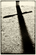12th Nov 2023 - The Cross