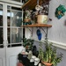 Indoor garden.......... by cutekitty