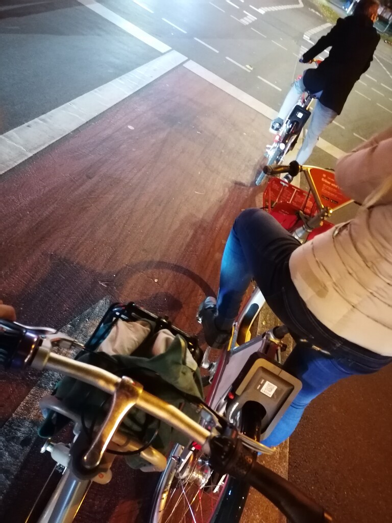 taking bikes to get home by zardz