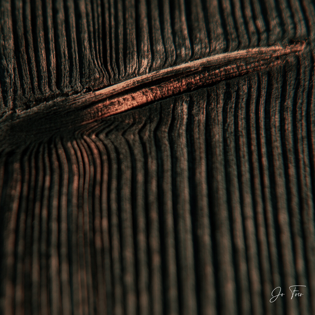 just wood by jo63
