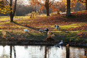 12th Nov 2023 - Late afternoon gathering