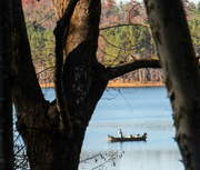 12th Nov 2023 - The fisherman between the trees
