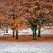 Between autumn and winter by helstor365