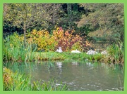 13th Nov 2023 - Swans At Rest,Stowe Gardens