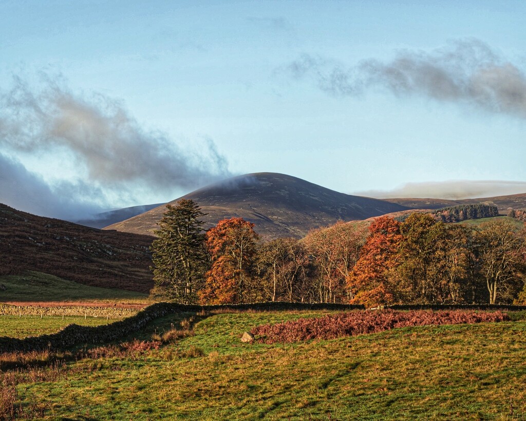 Autumn in the Megget valley. by billdavidson