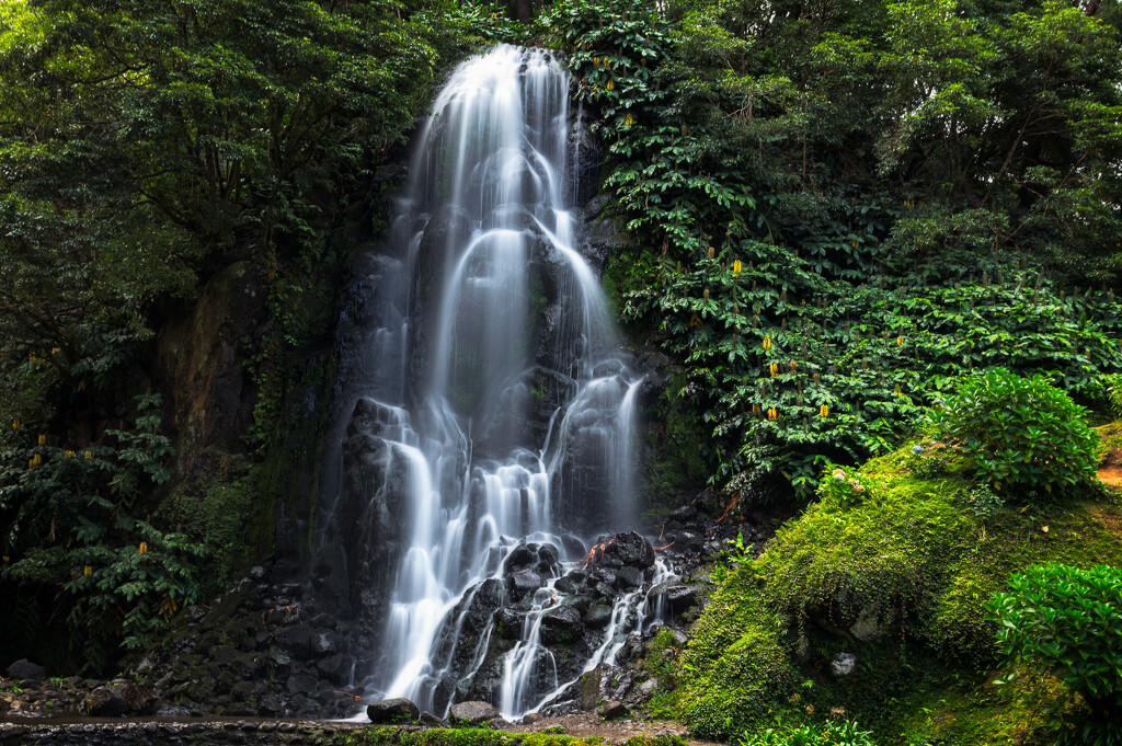 Waterfall on São Miguel Island by swchappell