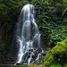 Waterfall on São Miguel Island by swchappell
