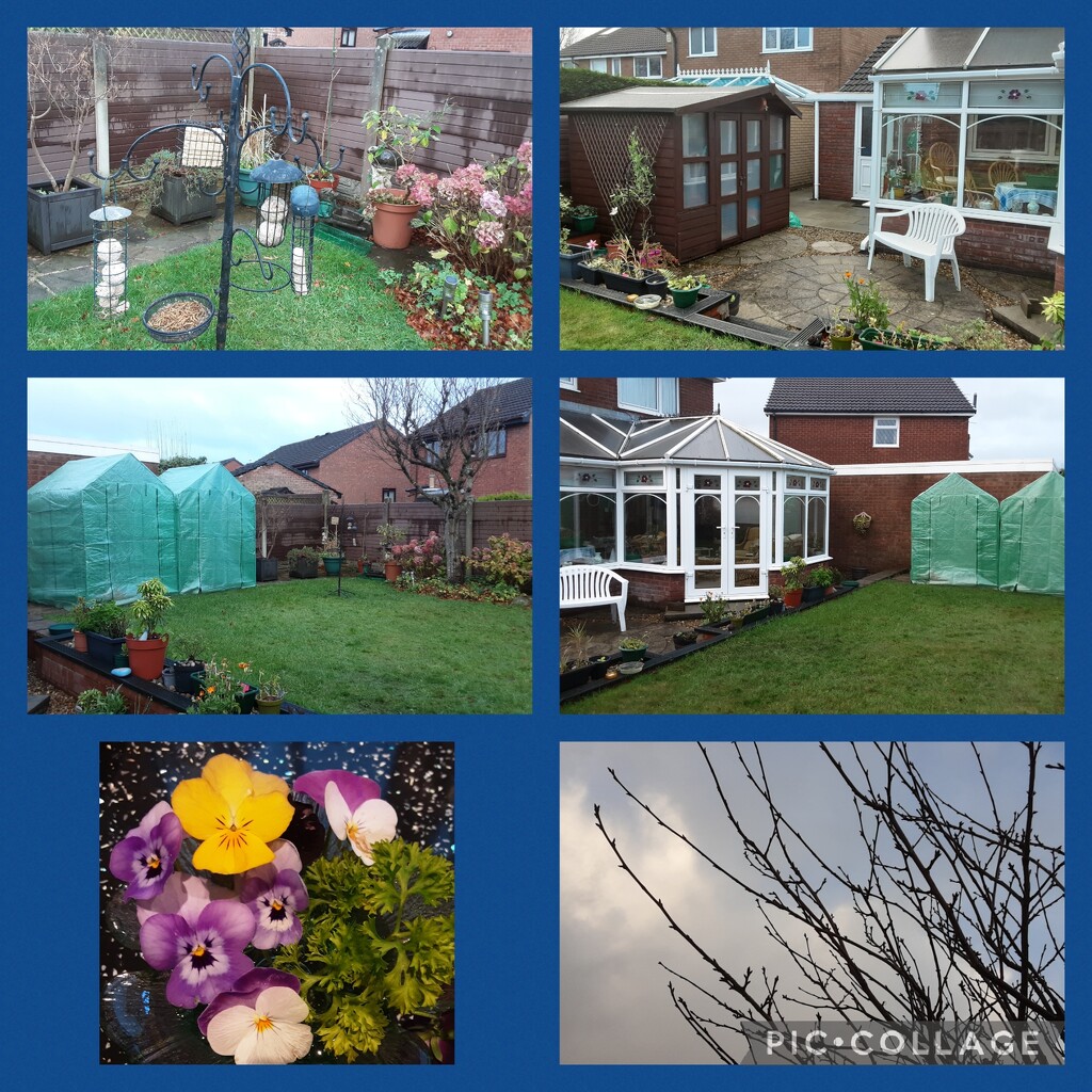 The garden after Storm Debi, wind and heavy rain. by grace55
