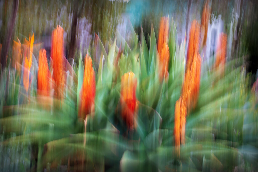 I thought I would try ICM by ludwigsdiana