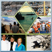 14th Nov 2023 - Galápagos Cruising on the Santa Cruz - Day 1