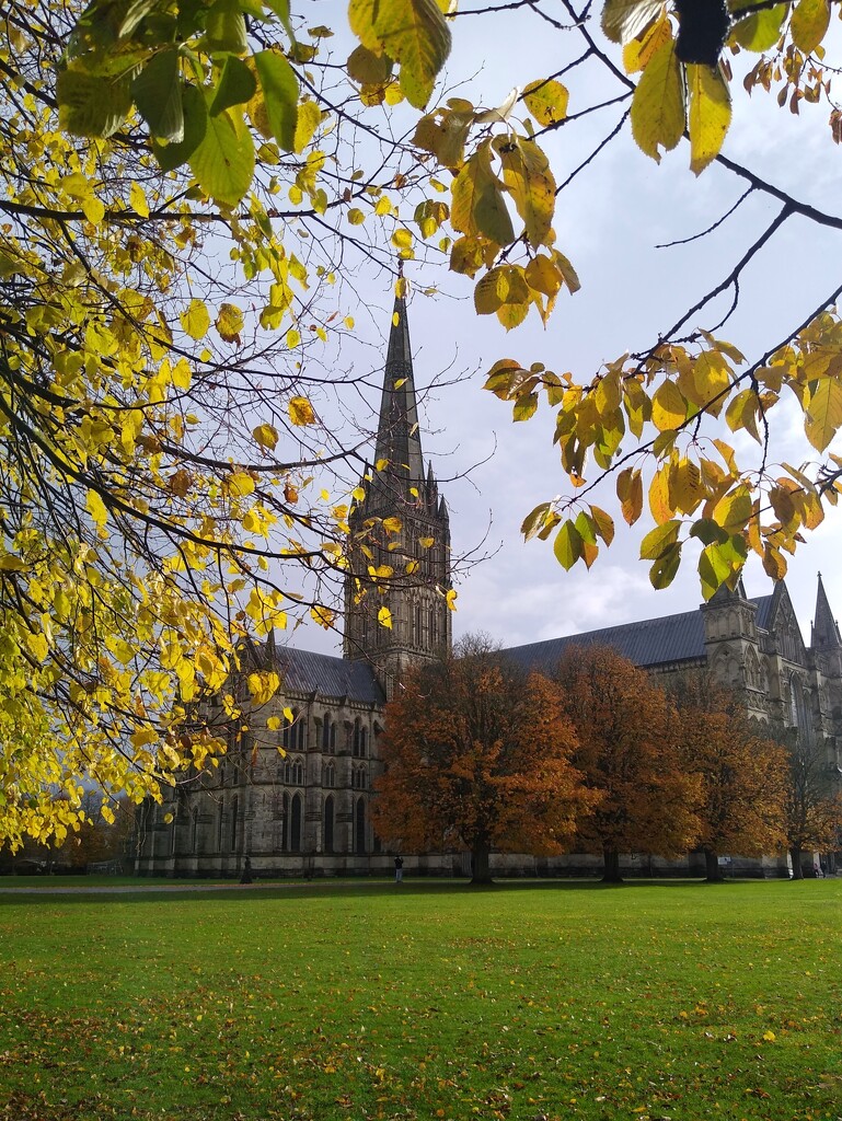 Salisbury Cathedral  by 30pics4jackiesdiamond