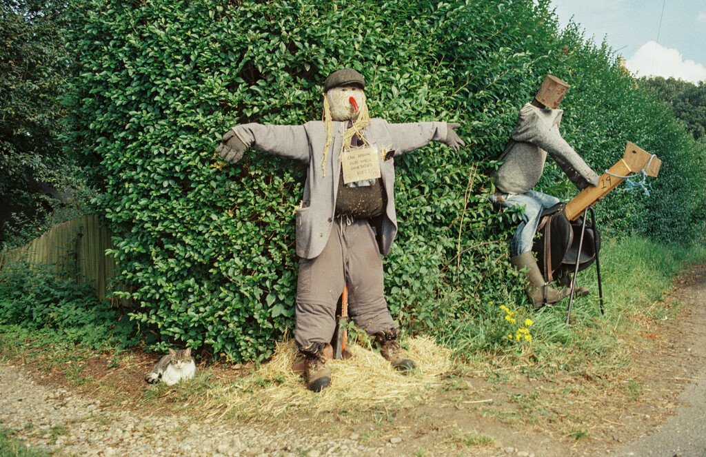 I Shoot Film : Scarecrows and a Cool Cat by phil_howcroft