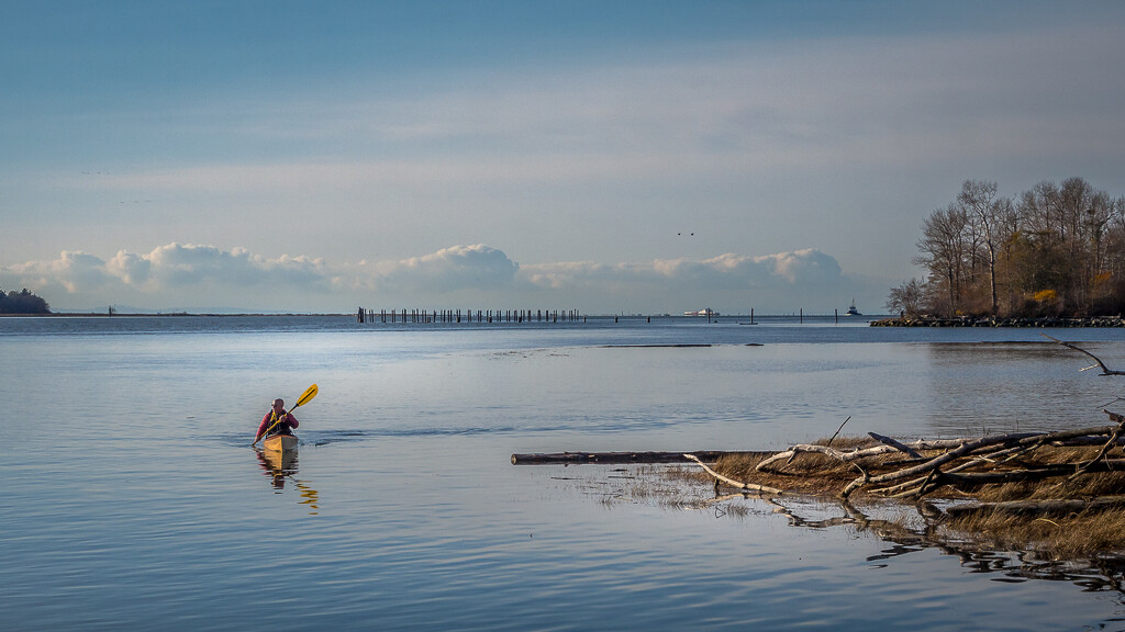 Kayaker by cdcook48