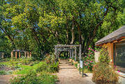 15th Nov 2023 - A path to the camphor forest