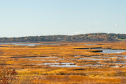 14th Nov 2023 - Autumn at Scarborough Marsh 