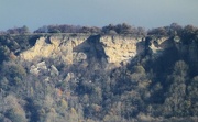 15th Nov 2023 - Whitestone Cliff