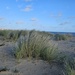 Felixstowe dunes  by richardsandford