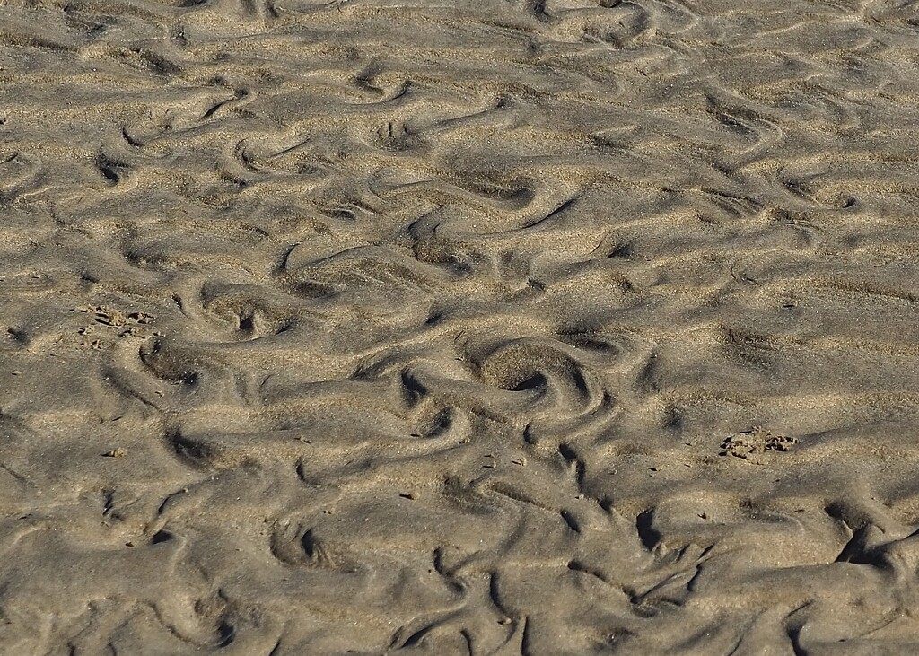 Patterns in the sand by Dawn