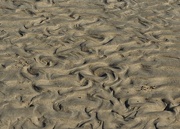 16th Nov 2023 - Patterns in the sand