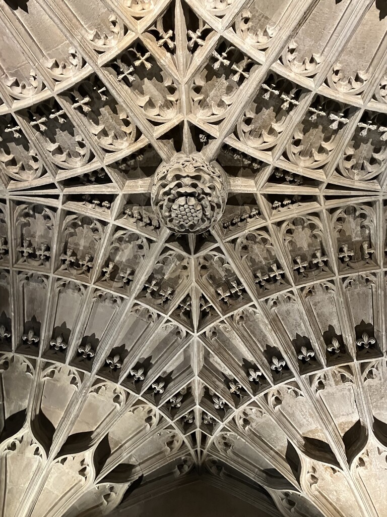 Side Chapel Fan Vaulting by foxes37