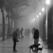 Misty morning meeting of mutts and their masters by laroque
